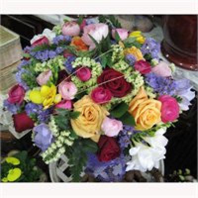 התמונה של קוד: 017